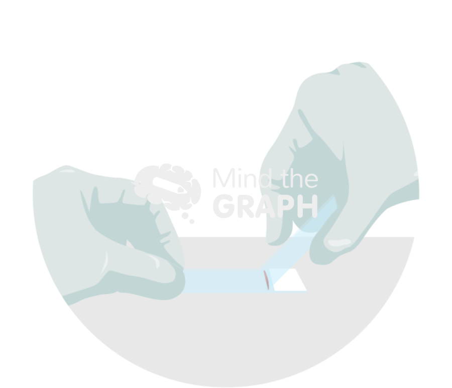 Blood smear film procedure 2 zoom Icons, Symbols, Pictures, and Images