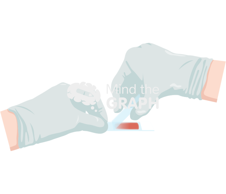 Blood smear film procedure 3 Icons, Symbols, Pictures, and Images