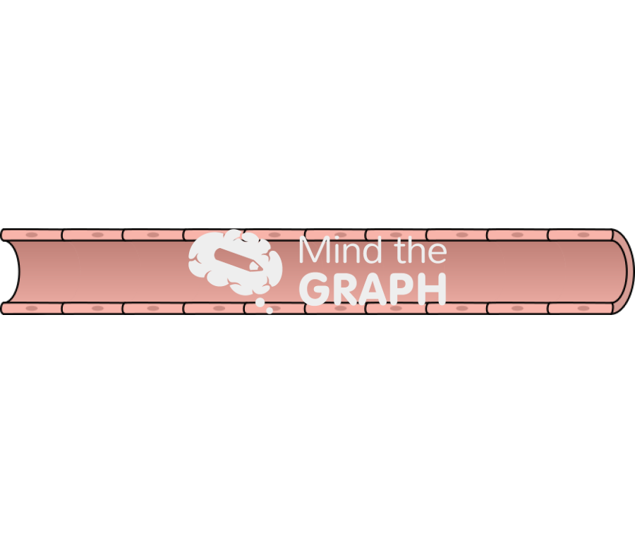 Blood vessel Icons, Symbols, Pictures, and Images