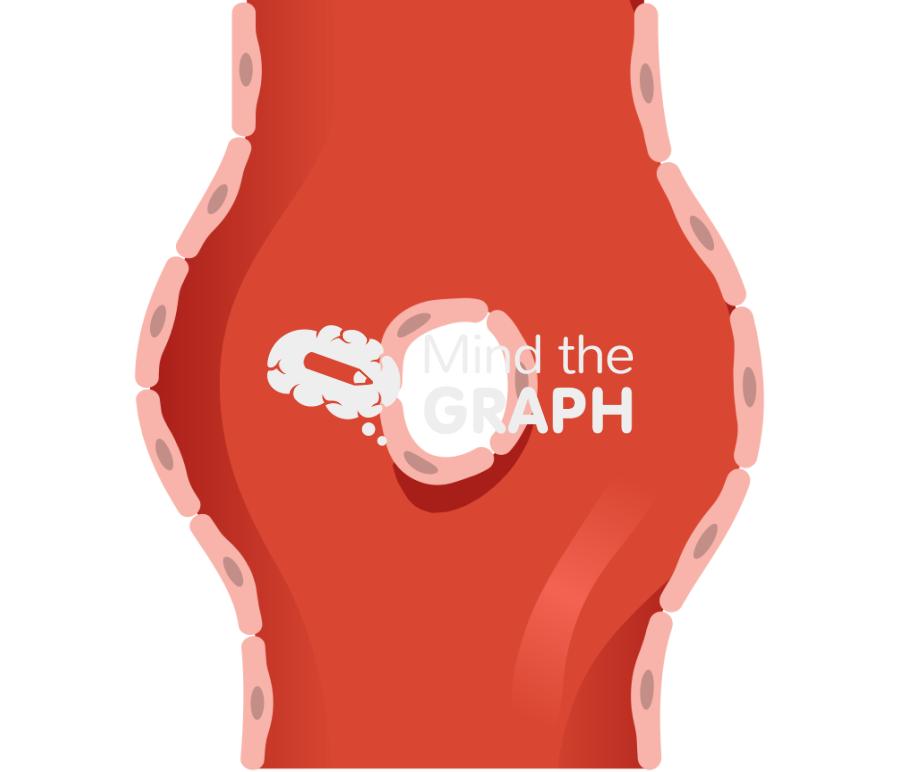 Blood vessel angiogenesis 2 sagittal cut Icons, Symbols, Pictures, and Images