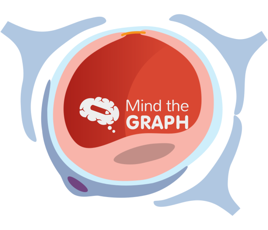 Blood vessel endfeet astrocyte transversal Icons, Symbols, Pictures, and Images