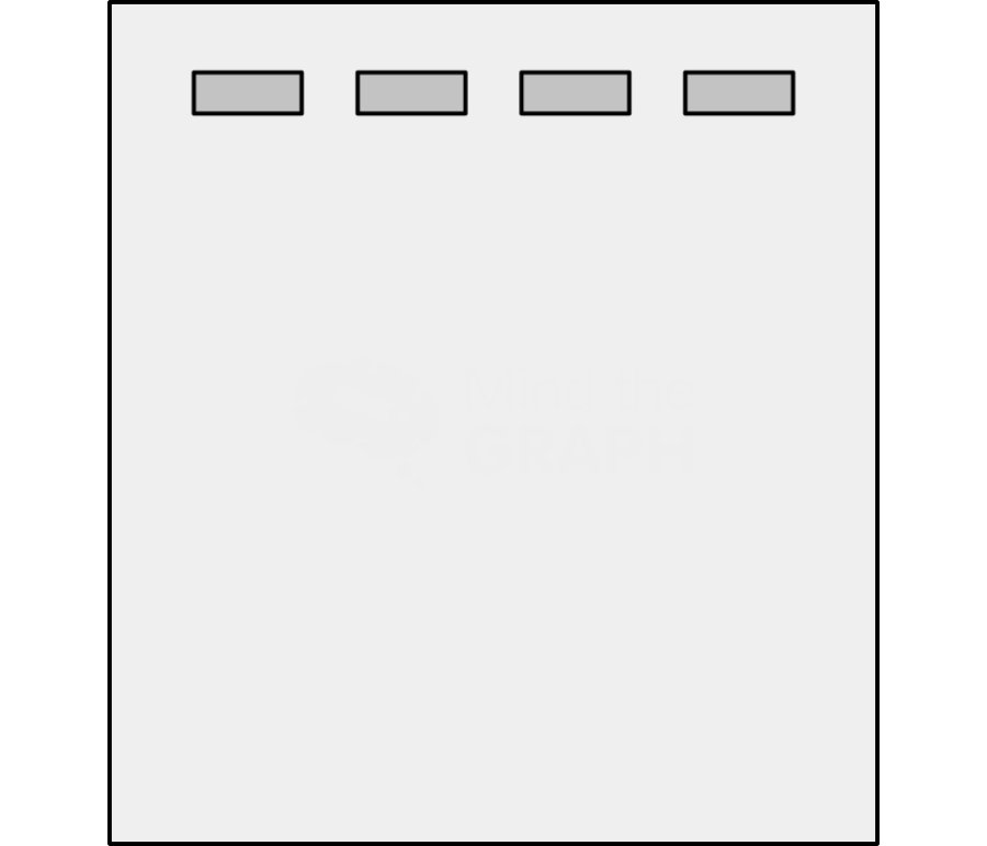 Blotting gel front 2 Icons, Symbols, Pictures, and Images