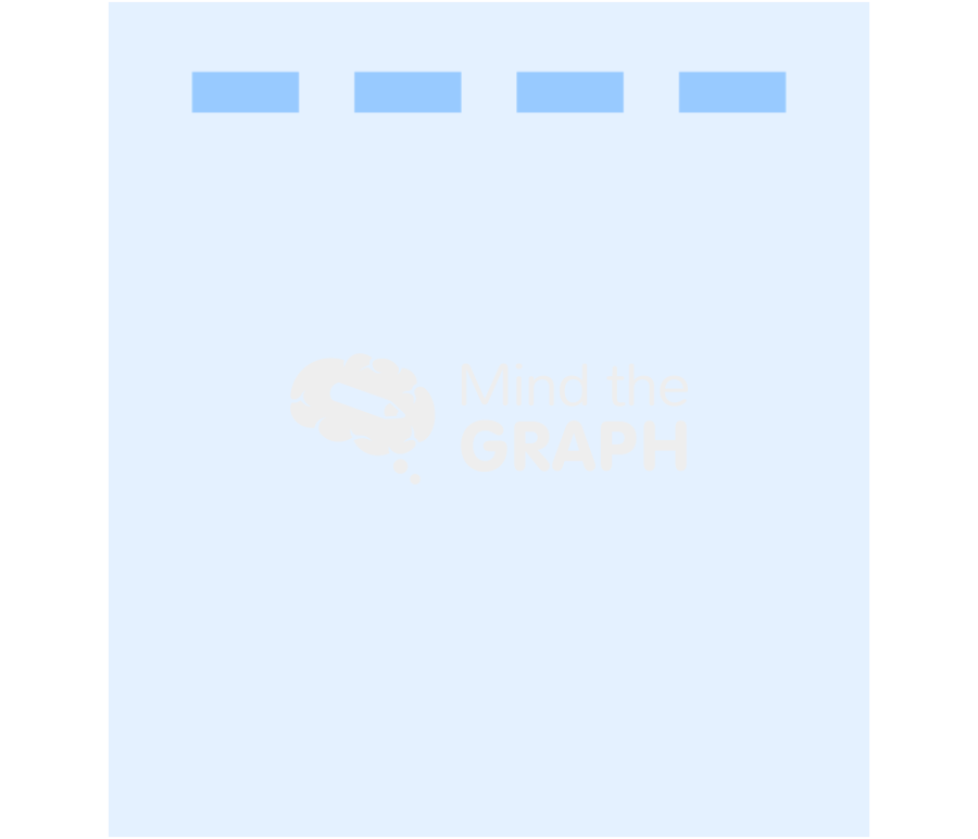 Blotting gel front 2 Icons, Symbols, Pictures, and Images