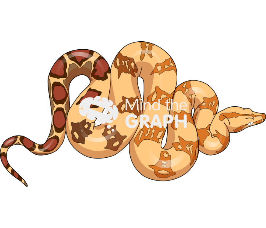Free Boa constrictor snake Icons, Symbols, Pictures, and Images | Mind ...