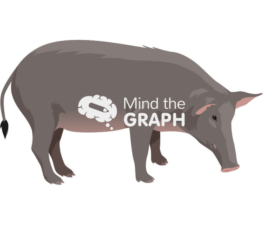 Boar pig Icons, Symbols, Pictures, and Images