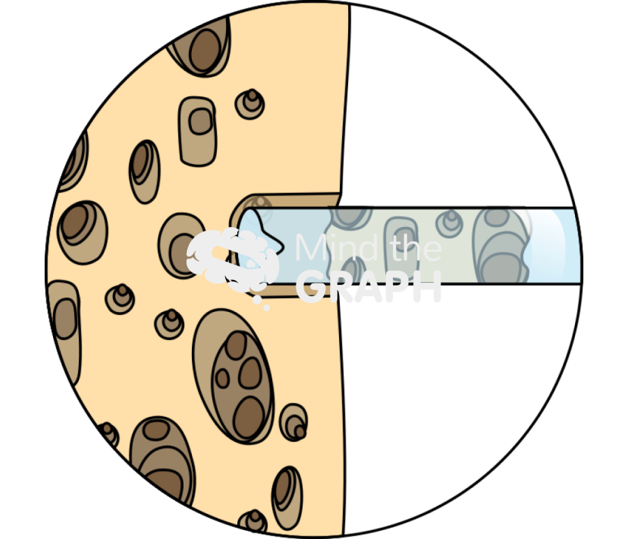 Bone biopsy cylinder zoom Icons, Symbols, Pictures, and Images