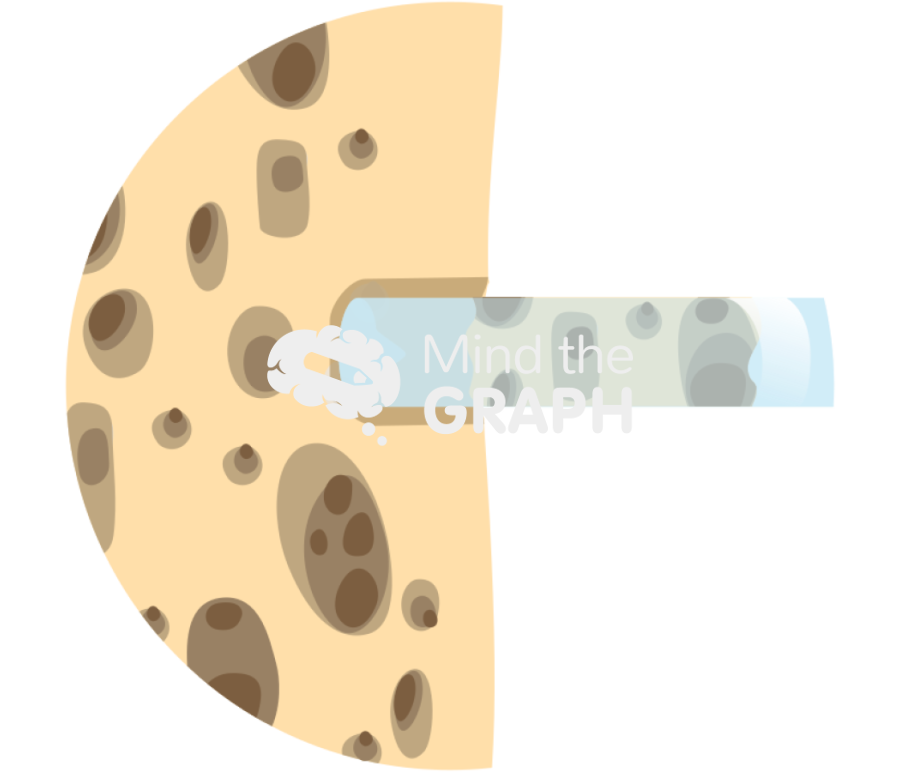 Bone biopsy cylinder zoom Icons, Symbols, Pictures, and Images