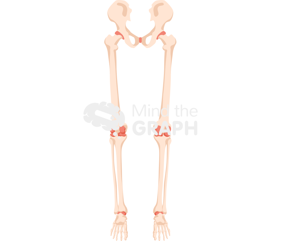 Bone legs rear Icons, Symbols, Pictures, and Images