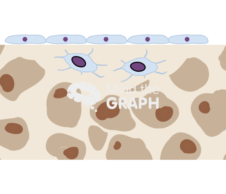 Bone remodeling cycle osteocytes Icons, Symbols, Pictures, and Images