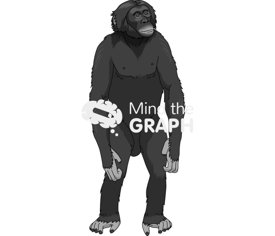 Bonobo Icons, Symbols, Pictures, and Images