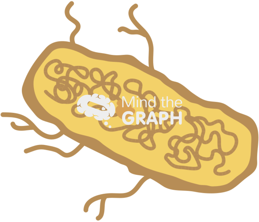Bordetella pertussis 2 Icons, Symbols, Pictures, and Images