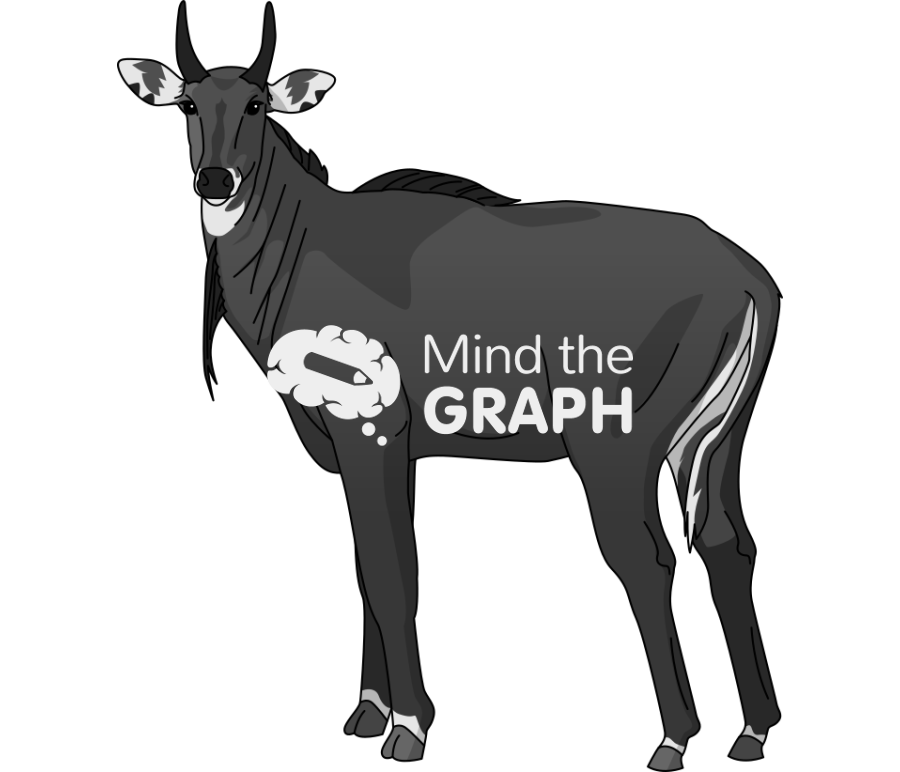 Boselaphus tragocamelus nilgai antelope lateral Icons, Symbols, Pictures, and Images