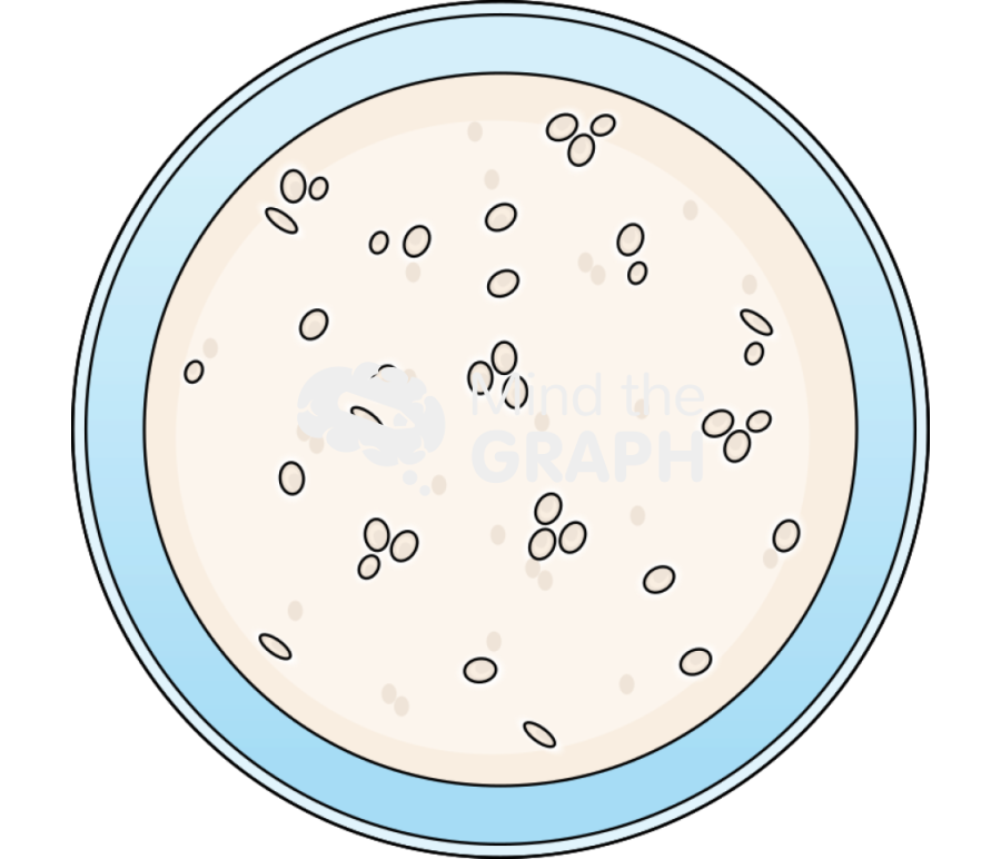 Botrytis cinerea spores petri dish frontal Icons, Symbols, Pictures, and Images