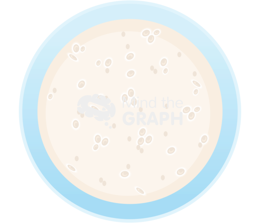 Botrytis cinerea spores petri dish frontal Icons, Symbols, Pictures, and Images