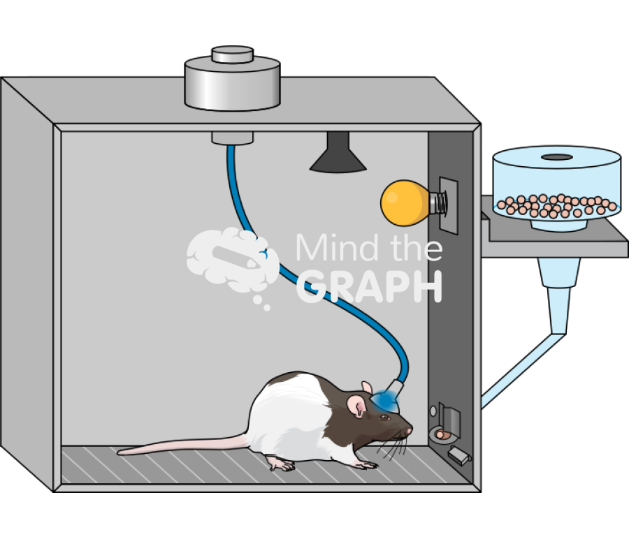 Box rat feeding Icons, Symbols, Pictures, and Images