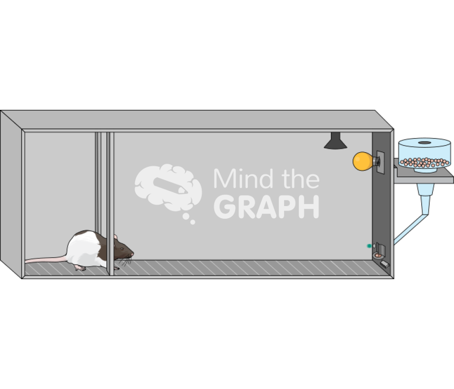 Box subdivision rat Icons, Symbols, Pictures, and Images