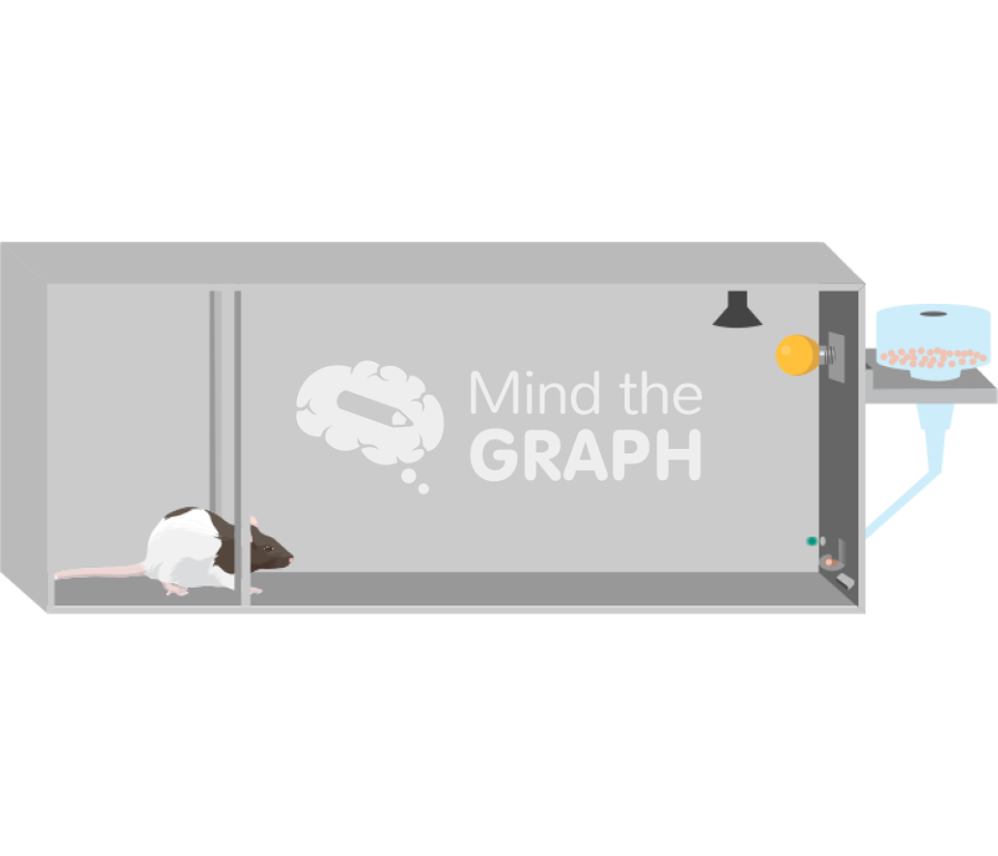 Box subdivision rat Icons, Symbols, Pictures, and Images