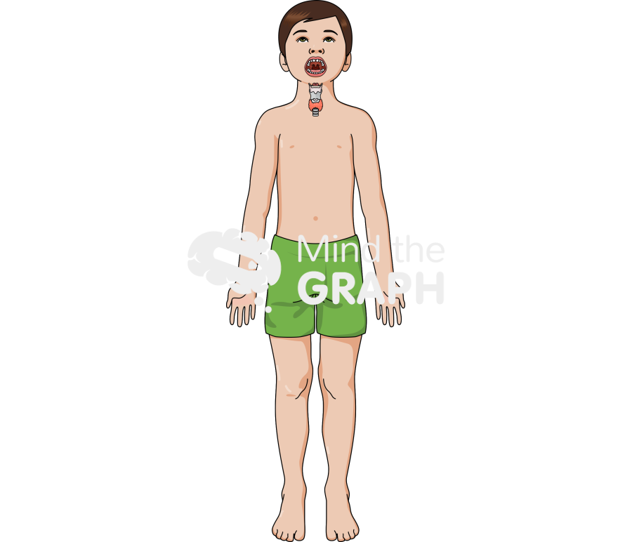 Boy mouth front body full 1 Icons, Symbols, Pictures, and Images