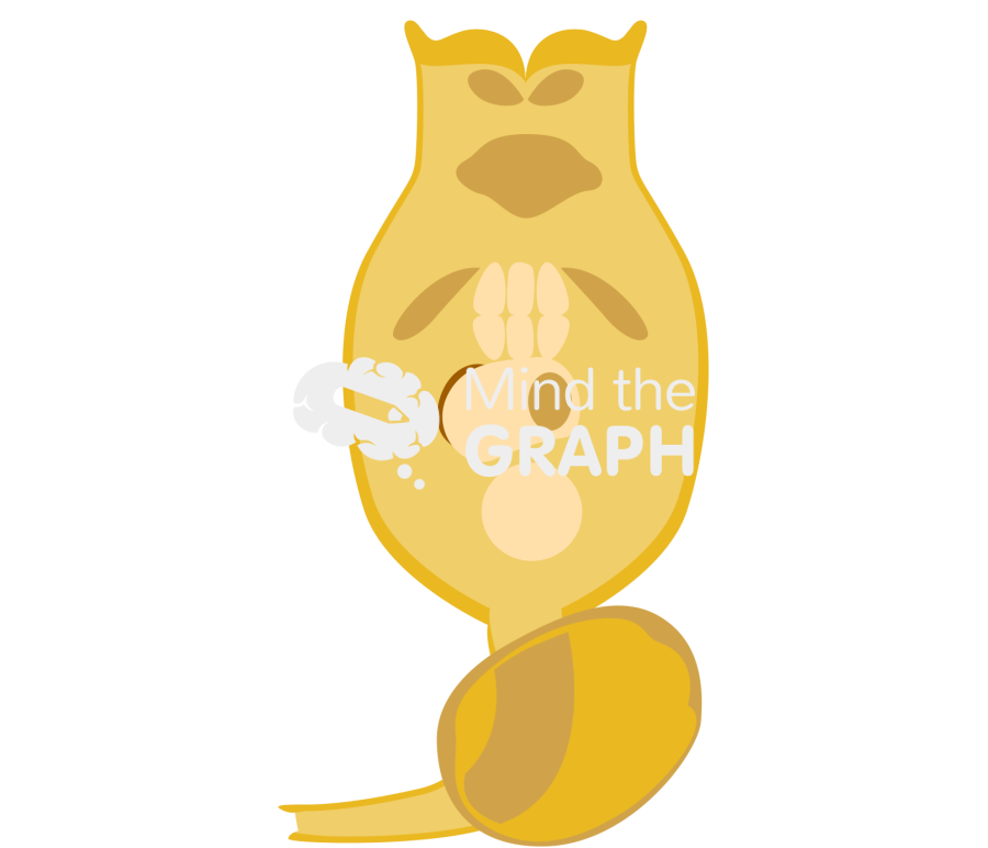 Brachionus plicatilis rotifer Icons, Symbols, Pictures, and Images