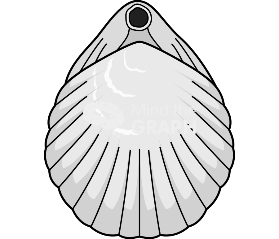Brachiopod 1 back Icons, Symbols, Pictures, and Images
