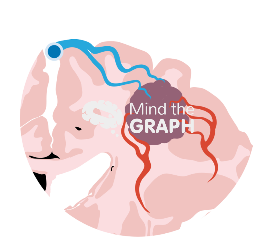 Brain arteriovenous malformation zoom Icons, Symbols, Pictures, and Images