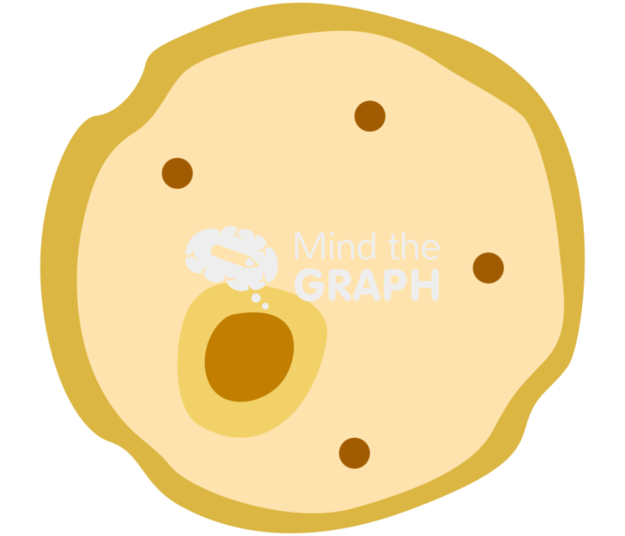 Brain eating amoeba naegleria fowleri cyst Icons, Symbols, Pictures, and Images