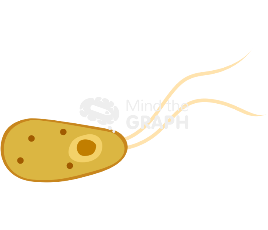 Brain eating amoeba naegleria fowleri flagellated Icons, Symbols, Pictures, and Images