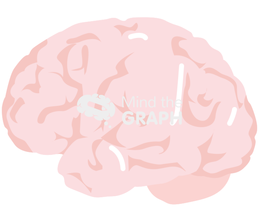 Brain side Icons, Symbols, Pictures, and Images