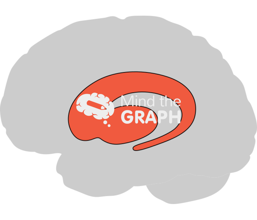 Brain striatum shape Icons, Symbols, Pictures, and Images