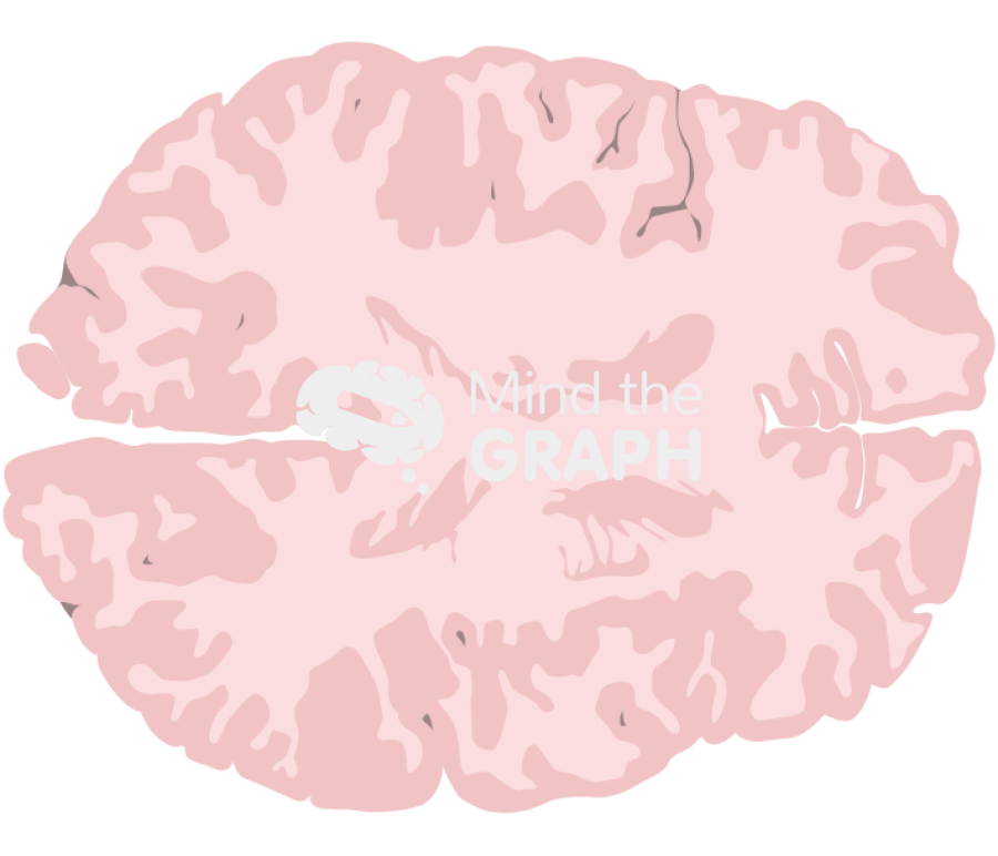 Brain top cut Icons, Symbols, Pictures, and Images