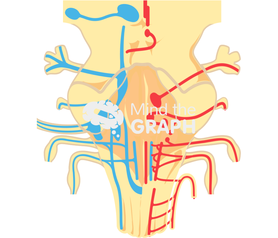 Braintem front cut Icons, Symbols, Pictures, and Images