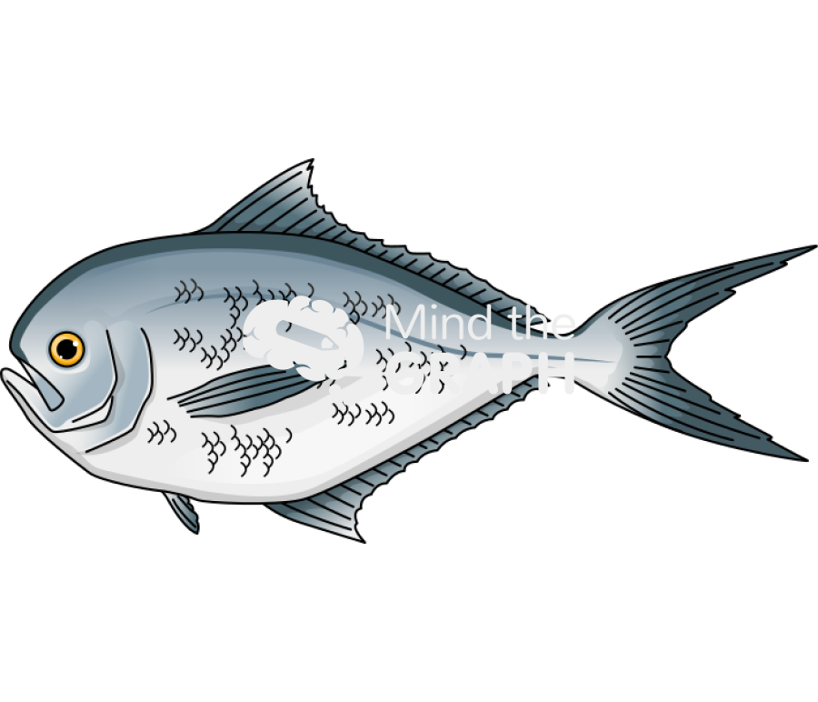 Brama brama lateral Icons, Symbols, Pictures, and Images