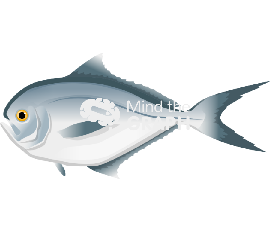 Brama brama lateral Icons, Symbols, Pictures, and Images