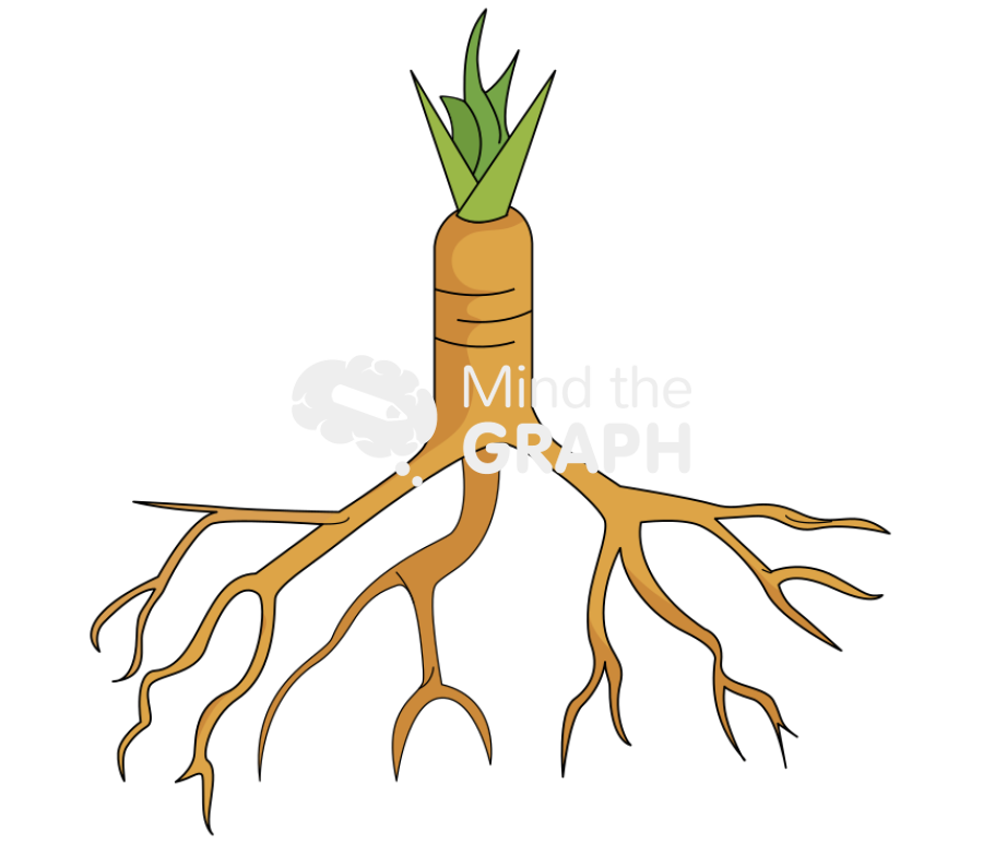 Branched roots Icons, Symbols, Pictures, and Images