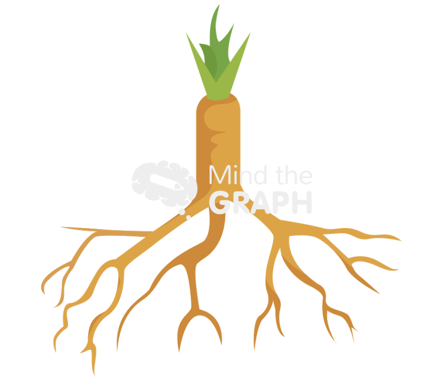 Branched roots Icons, Symbols, Pictures, and Images