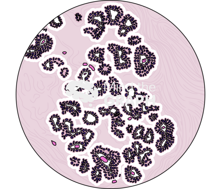 Breast lobule histology zoom Icons, Symbols, Pictures, and Images