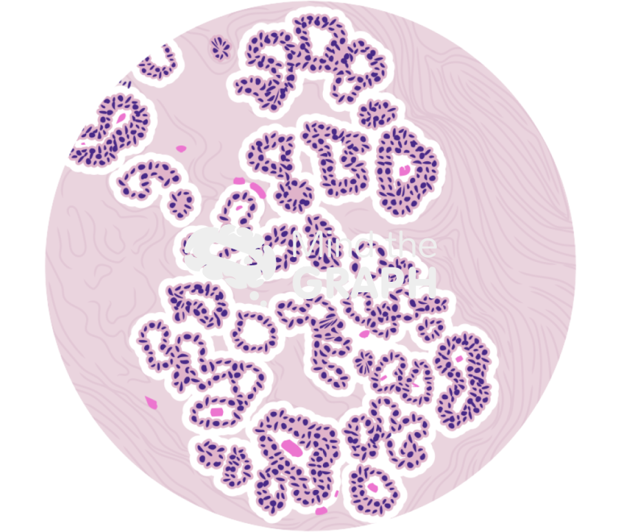 Breast lobule histology zoom Icons, Symbols, Pictures, and Images