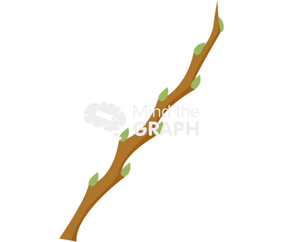 Bud stem biology dormant 1 Icons, Symbols, Pictures, and Images