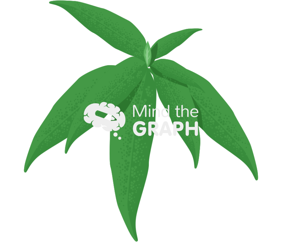 Buddleja globosa leaves Icons, Symbols, Pictures, and Images