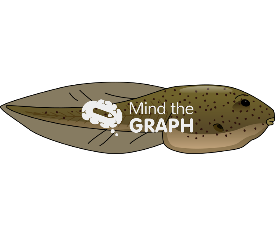 Bullfrog larvae lateral Icons, Symbols, Pictures, and Images