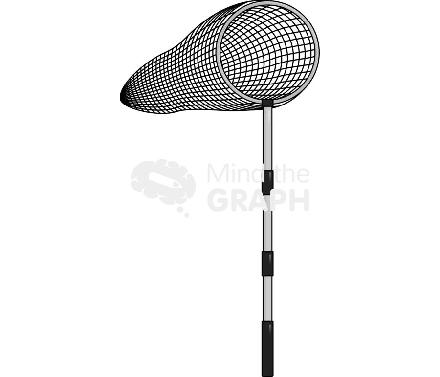 Butterfly net front Icons, Symbols, Pictures, and Images