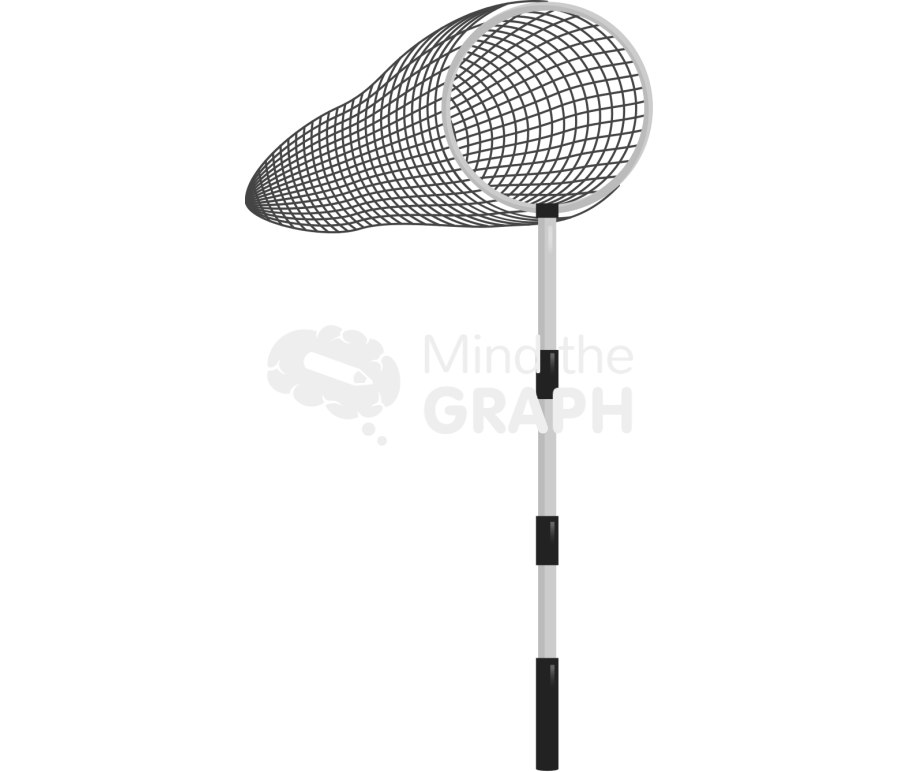 Butterfly net front Icons, Symbols, Pictures, and Images