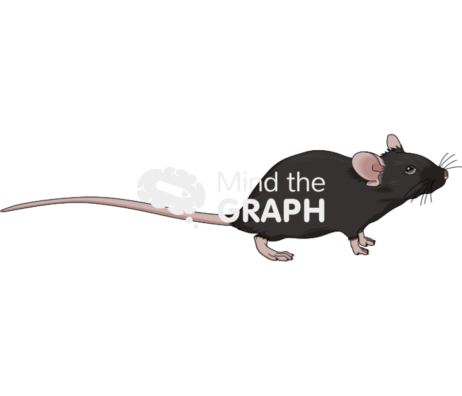 C57bi6 5 Icons, Symbols, Pictures, and Images