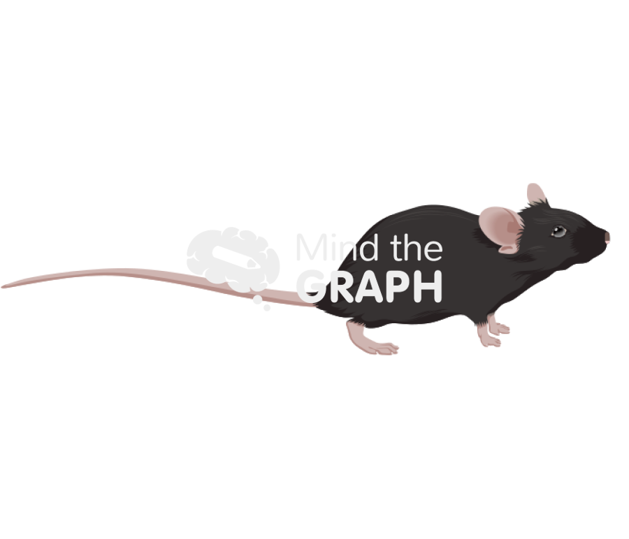 C57bi6 5 Icons, Symbols, Pictures, and Images