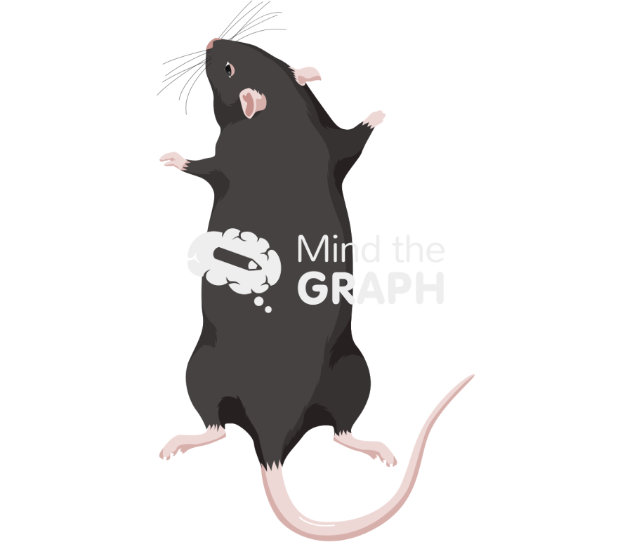 C57bi6 back Icons, Symbols, Pictures, and Images