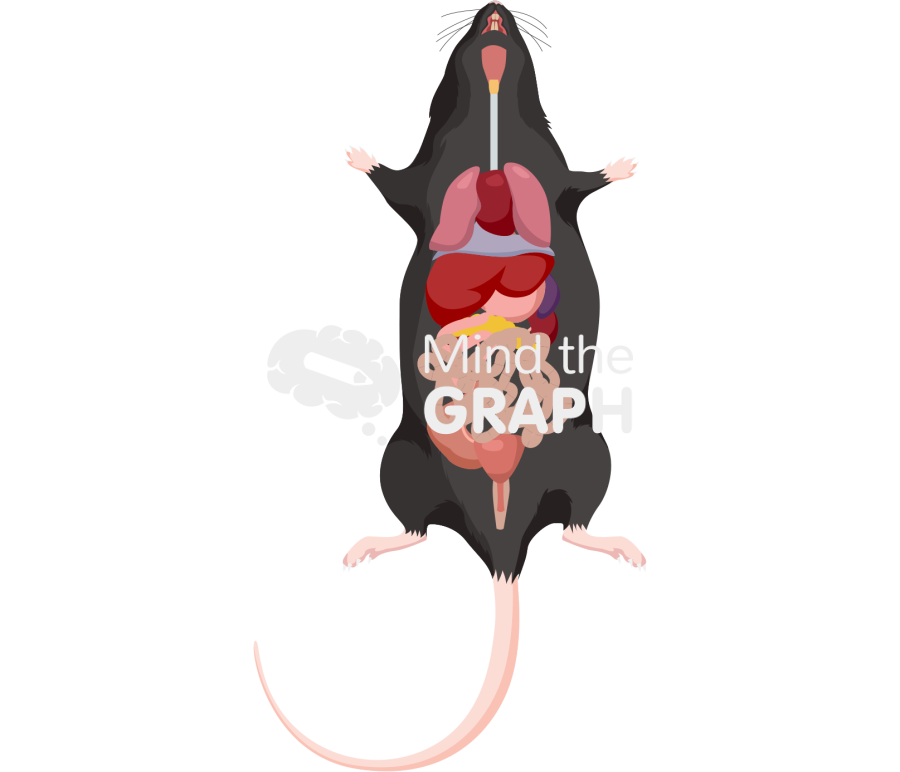 C57bi6 system body full Icons, Symbols, Pictures, and Images