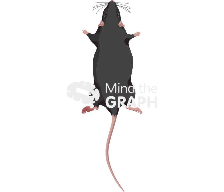 C57bl6 mice arthritis top Icons, Symbols, Pictures, and Images