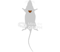 C57bl6 mouse adipose tissue shape - Edit and Customize Icons of C57bl6 mouse adipose tissue shape C57bl6 mouse adipose tissue shape Icons, Symbols, Pictures, and Images