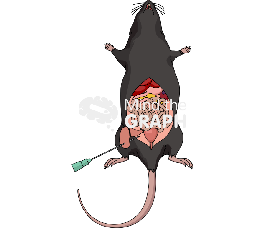 C57bl6 mouse cecal ligation puncture Icons, Symbols, Pictures, and Images