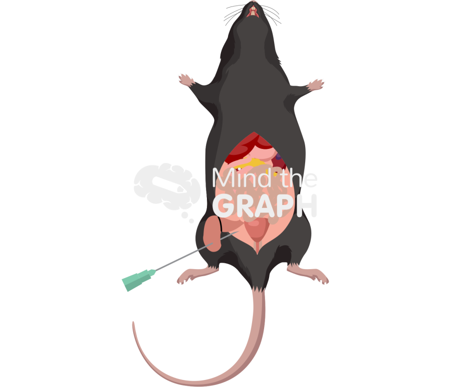 C57bl6 mouse cecal ligation puncture Icons, Symbols, Pictures, and Images